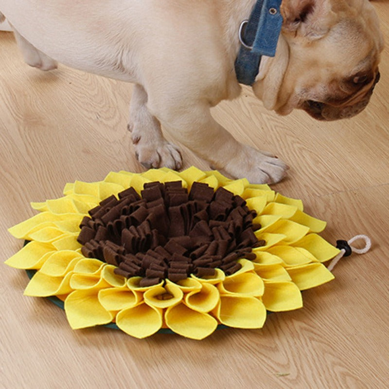 Hund sucht Leckerli im Schnüffelteppich